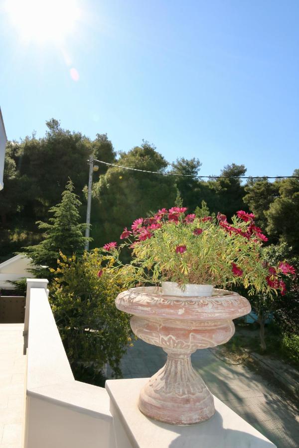 Villa Ariadne Atény Exteriér fotografie